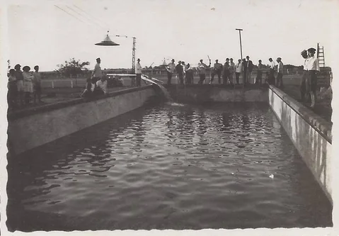 Fotografía histórica en blanco y negro del natatorio del club